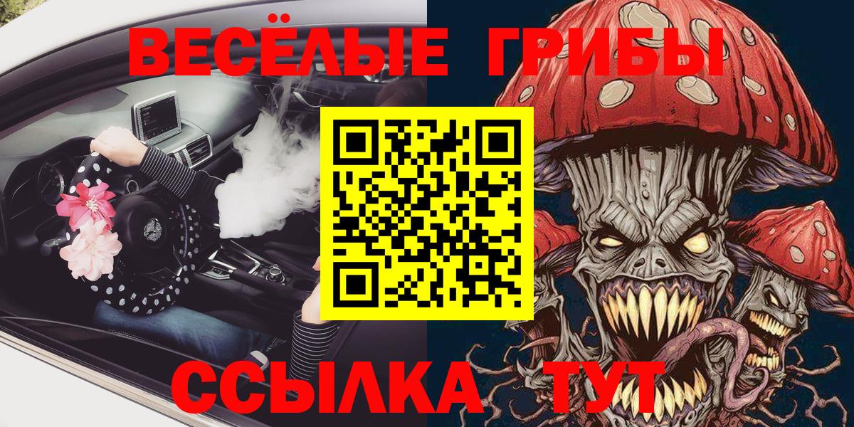Псилоцибиновые грибы Cubensis Нововоронеж