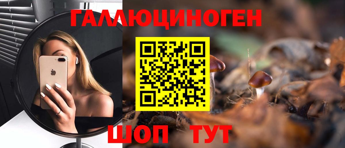 Псилоцибиновые грибы Psilocybine cubensis  Галлюциногенные грибы Psilocybine cubensis  Нововоронеж  Вход с VPN 